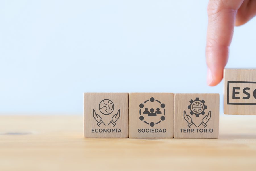 Economía, sociedad y territorio